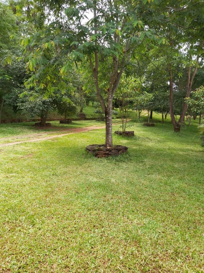 Chacara Gama Pirenopolis Villa Dış mekan fotoğraf